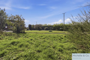 Front Garden- click for photo gallery